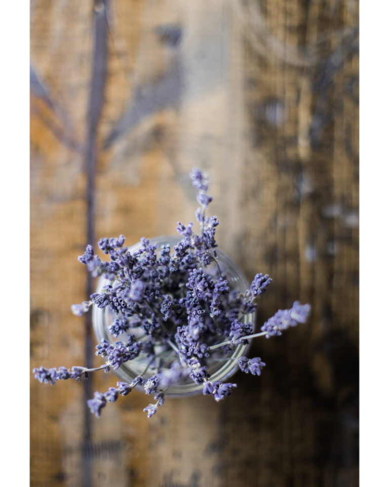 lavender chapstick